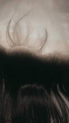 I LOVE THIS HAIR ! Shipping was FAST hair arr