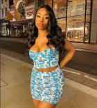 Fast shipping, excellent communication and th