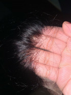 The hair is VERY THICK! I would recommend thi